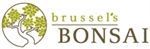 brusselsbonsai.com coupon codes