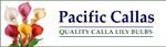 Pacific Callas coupon codes