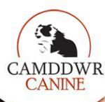 CAMDDWR CANINE UK Coupon Codes & Deals