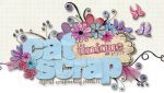 Cat Scrap Coupon Codes & Deals