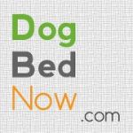 dogbednow.com Coupon Codes & Deals