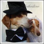 Doggie Clothesline coupon codes