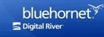 Blue Hornet Networks Inc. Coupon Codes & Deals