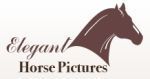 Elegant Horse Pictures Coupon Codes & Deals