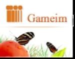 Gameim Coupon Codes & Deals