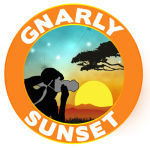 Gnarly Sunset Coupon Codes & Deals