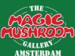 Magic mushroom Coupon Codes & Deals