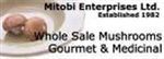 Mitobi Enterprise Ltd. coupon codes