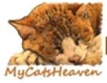 My Cat's Heaven Coupon Codes & Deals