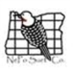 NePo Suet Company Coupon Codes & Deals