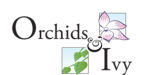 Orchids & Ivy coupon codes