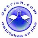 Ostriches On Line Coupon Codes & Deals