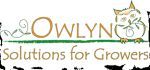 Owlyn Coupon Codes & Deals