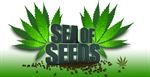 Sea of Seeds Coupon Codes & Deals