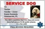 Service Dog Gear coupon codes