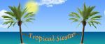 Tropical Siesta Coupon Codes & Deals