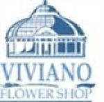 Viviano Flower Shop coupon codes