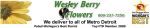 Wesley Berry Flowers coupon codes