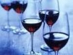 The WineWeb coupon codes