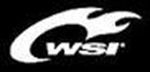 WSI Sports Coupon Codes & Deals